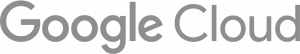 Google Cloud Partner